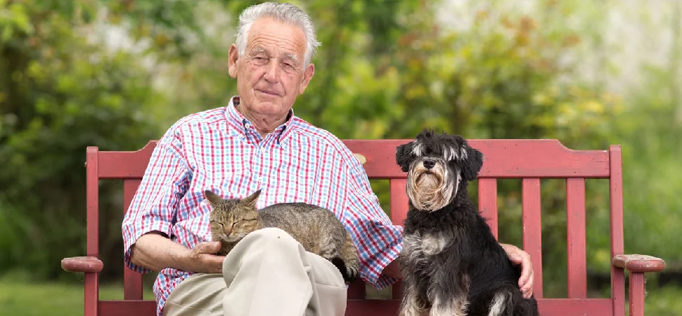 Oferty pracy dla opiekunów zwierząt dla emerytów